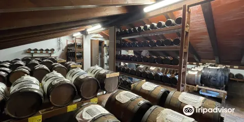 Acetaia del Cristo Società Agricola s.s.