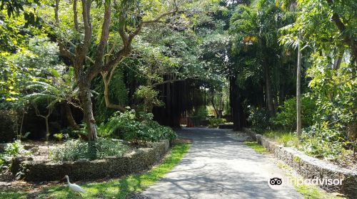 The Kampong, National Tropical Botanical Garden