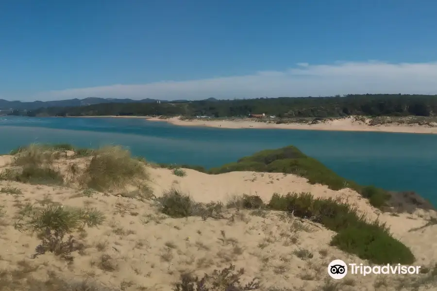 Lighthouse Beach