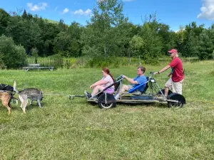 Eden Dogsledding