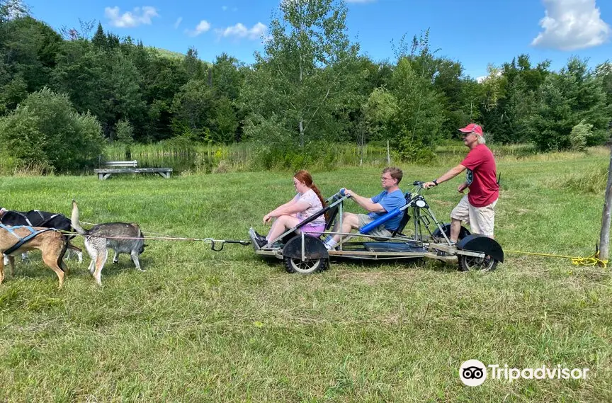 Eden Dogsledding