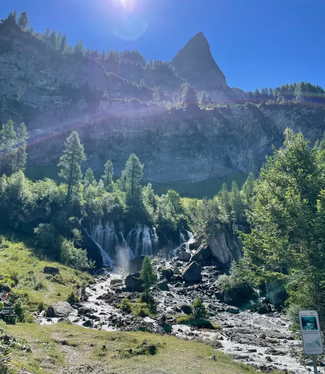 Lenk