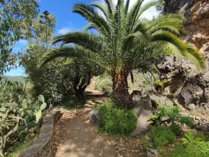 Jardin Méditerranéen de Roquebrun CADE