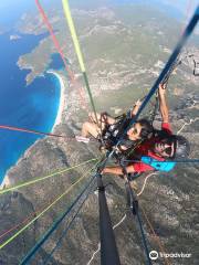 Reaction Paragliding