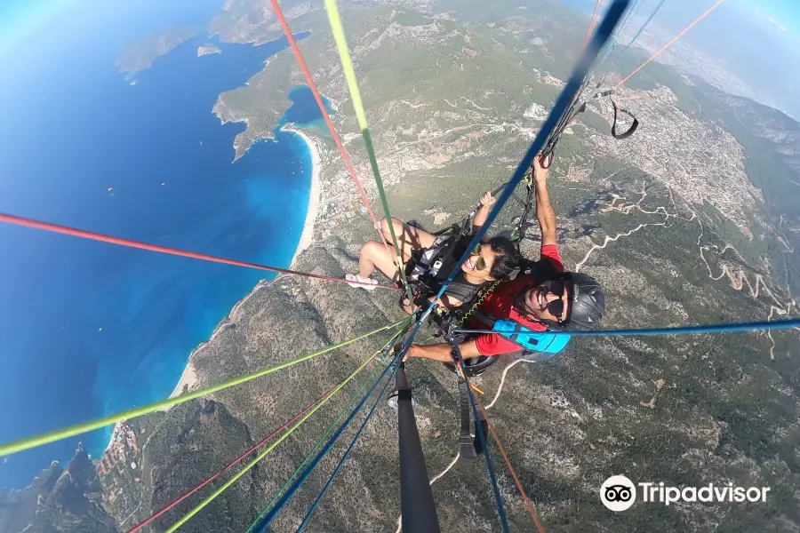 Reaction Paragliding