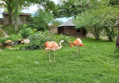 フランク・バック動物園