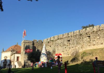 Castle of Santa Maria da Feira