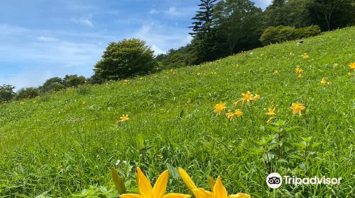 Nikko Kirifuri Kogen Kisuge Plains