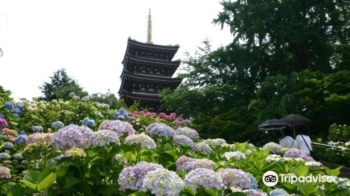 本土寺