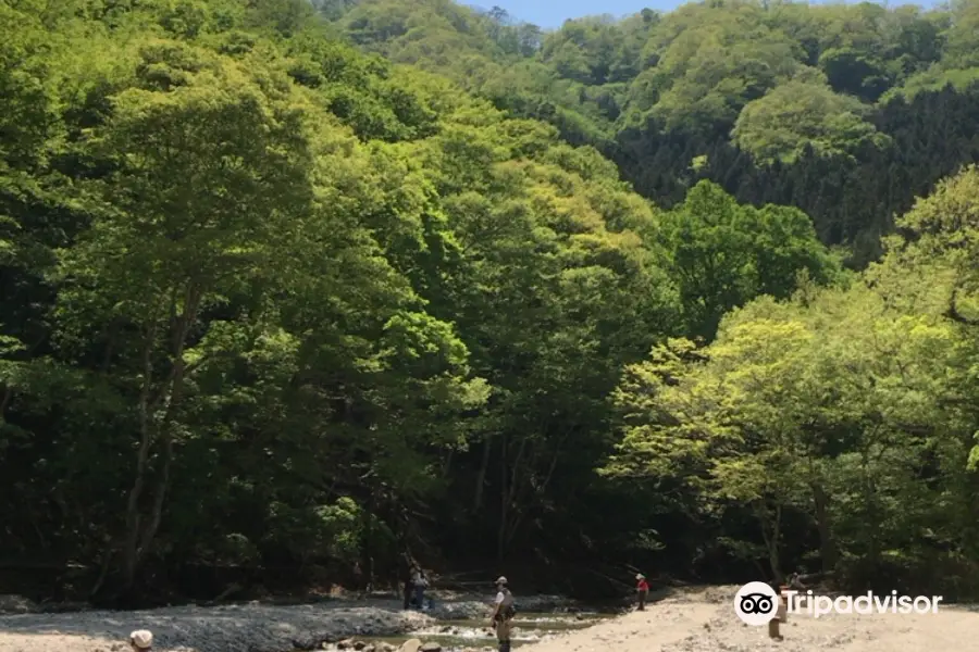 Miyori Keiryu Fishing Area