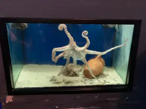 Aquarium of Salento