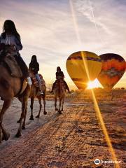 SAVRAN Camel Safari