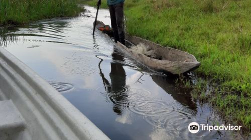 Bangweulu Wetlands