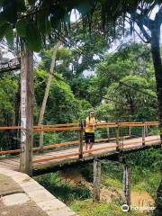 Dona Benta Suspension Bridge