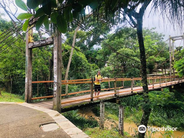 Dona Benta Suspension Bridge