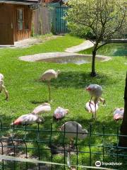Зоопарк города Спишска-Нова-Весь