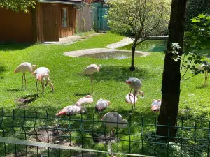 Зоопарк города Спишска-Нова-Весь