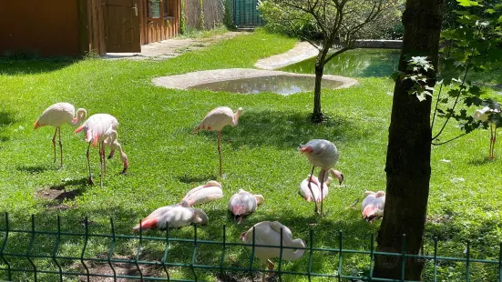 Zoo Spisska Nova Ves