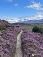 Glenlivet Mountain Bike Trails