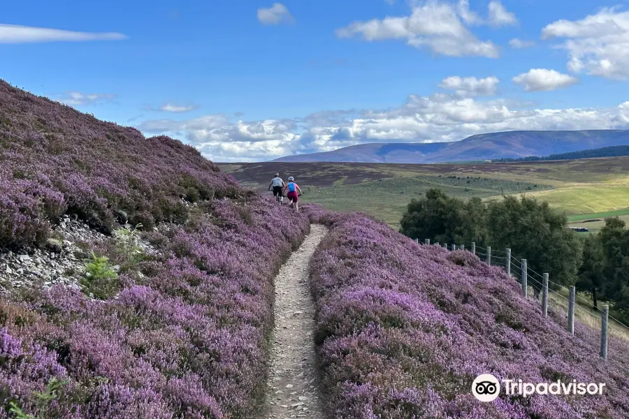 Glenlivet Mountain Bike Trails