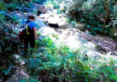 Washpool National Park