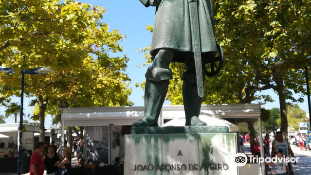 Monumento a João Afonso de Aveiro
