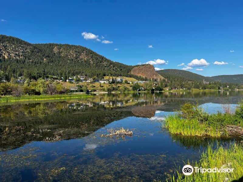 Amsterdam to Williams Lake Flights