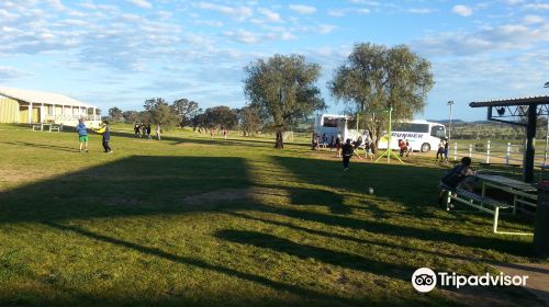 Bathurst Sheep and Cattle Show