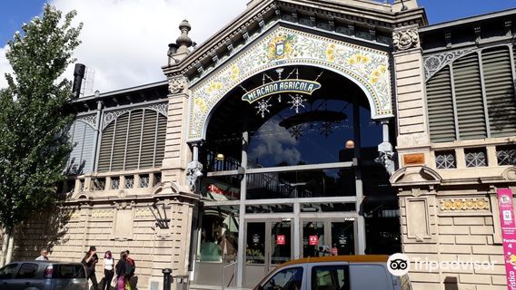 Mercado Agricola Montevideo - MAM