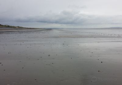 Pendine Sands