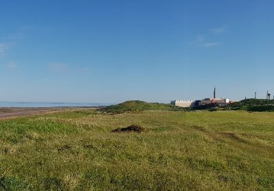 Seascale Beach