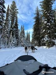 Dog Sled Adventures