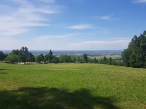 Parco Di Roncolo