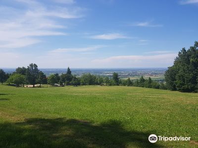 Roncolo's Park