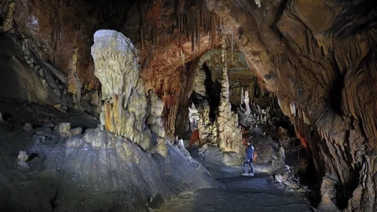 Divaca Cave