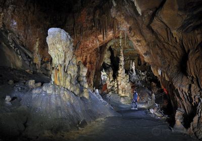 Divaca Cave