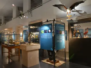 Aquarium et Musee de Zoologie (Aquarium and Zoological Museum)