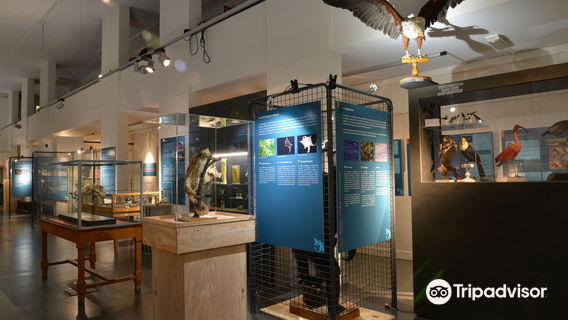 Aquarium et Musee de Zoologie (Aquarium and Zoological Museum)