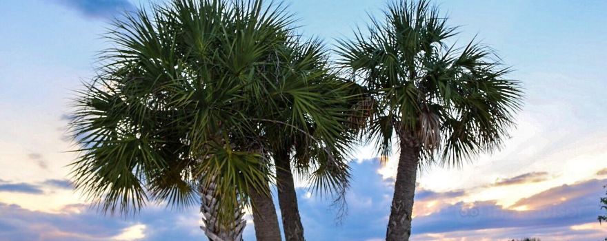 Port Charlotte