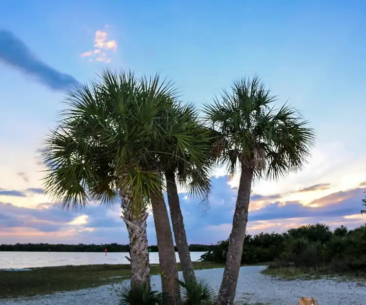 Hampton by Hilton Hotels in Port Charlotte
