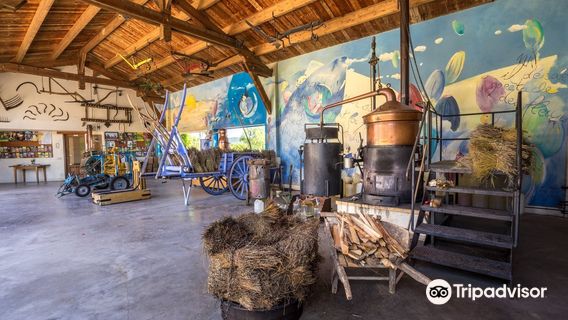 Domaine Lavandaïs - Museum of the Lavande