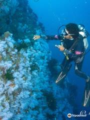 Taveuni Ocean Sports