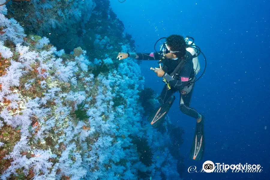 Taveuni Ocean Sports