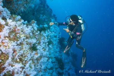 Taveuni Ocean Sports