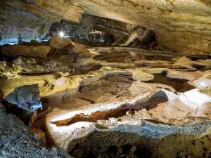 Vjetrenica Cave