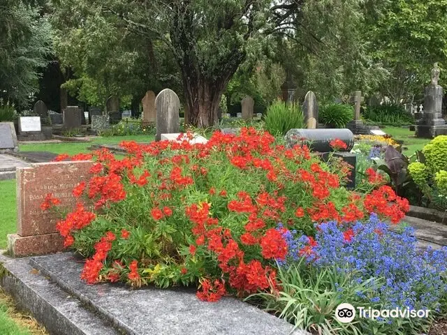 Te Henui Cemetery