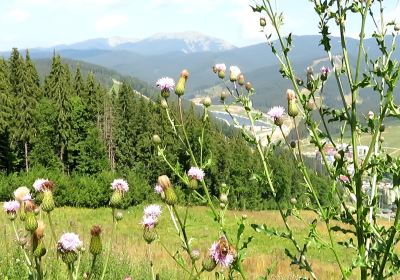 Mountain Bukovel