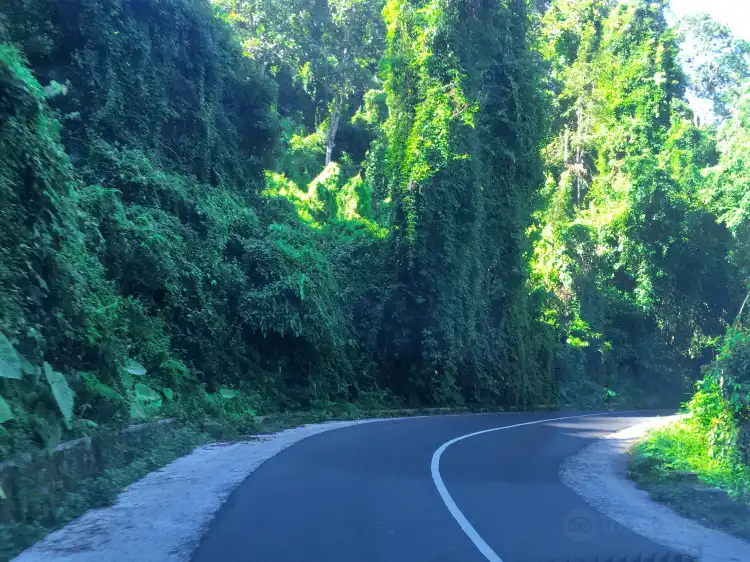 Hotels near Puncak Pusuk Pass