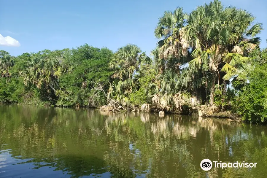 Pantanos de Centla