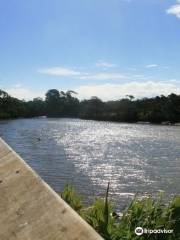 Tarwin Lower Boardwalk